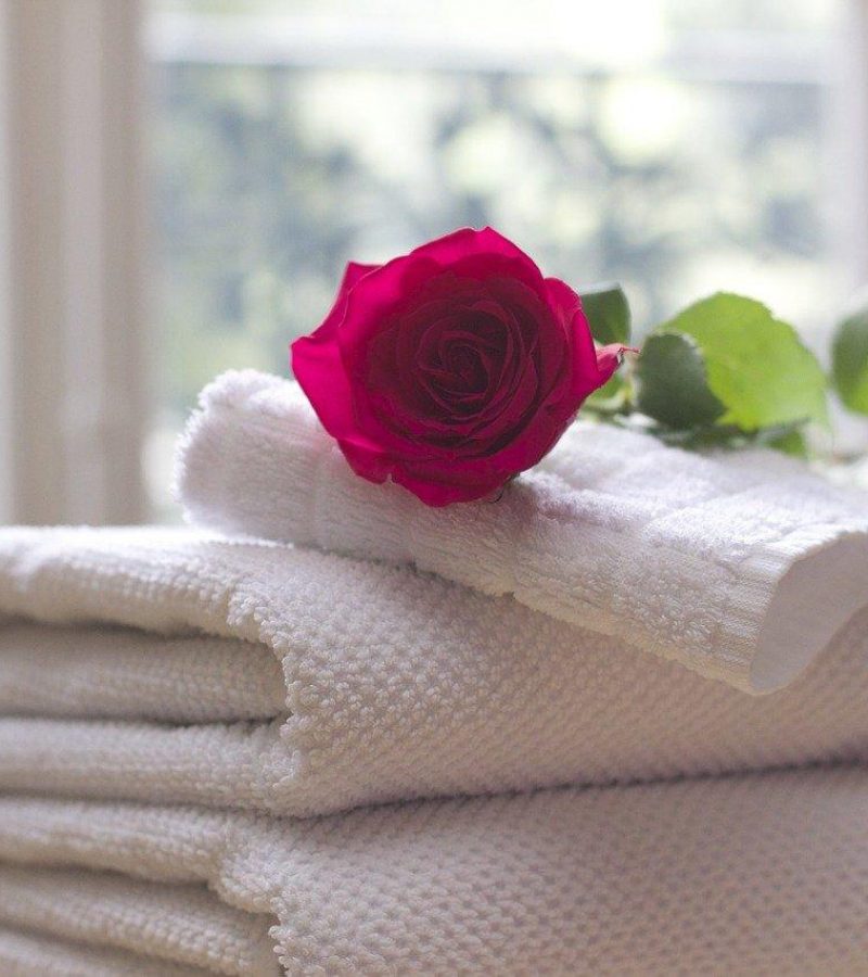 towel, rose, clean